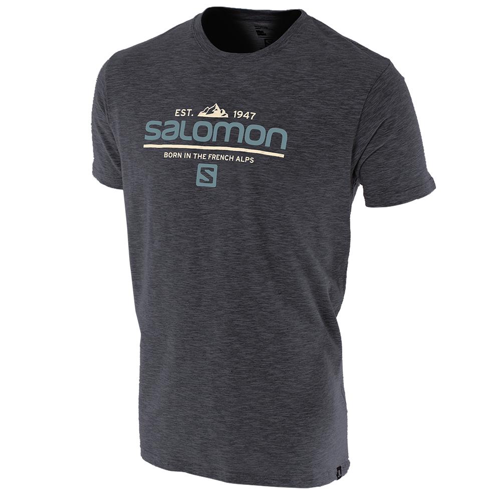 Camisetas Salomon Hombre Gris - Salomon Argentina VISIONARY SS M,805297-HJS